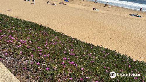 Playa Renaca