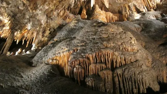 Yarrangobilly Caves