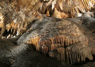 Yarrangobilly Caves