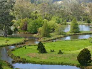 Tasmanian Arboretum