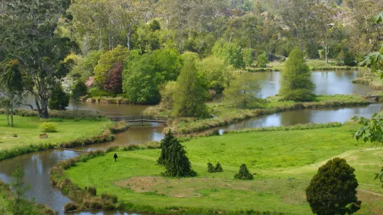 Tasmanian Arboretum