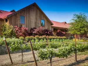 Oak Farm Vineyards