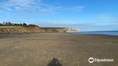 Sandown Beach