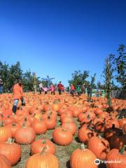 Apple Ridge Orchards