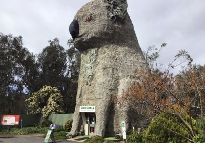 Giant Koala