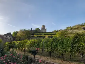 Château du Schlossberg