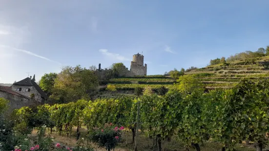 Castle de Kaysersberg