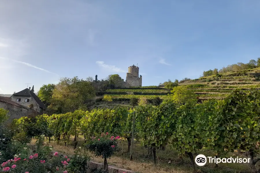 Castle de Kaysersberg