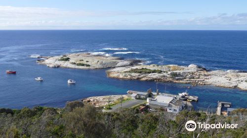 Whalers Lookout Scenic reserve