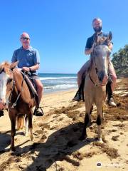 Horseback Rides by Pintos R Us