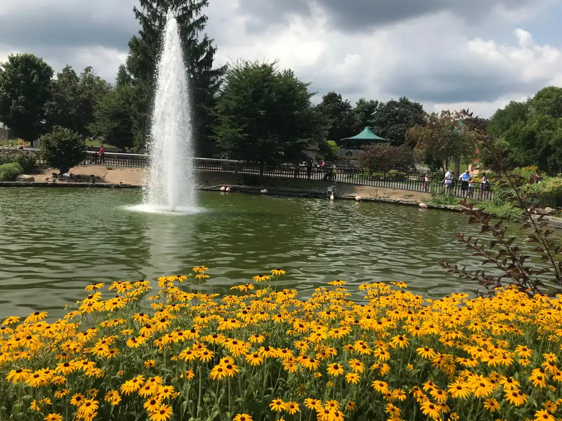 Hotels near Rosamond Gifford Zoo
