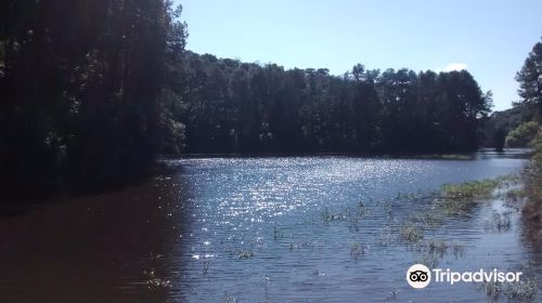 State Park Cantareira Core Cabuçu