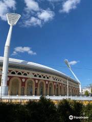 Stadio Dinamo