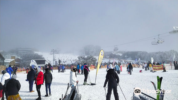 Mount BullerTours