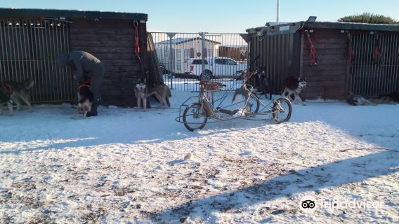 Huskyhaven Scotland