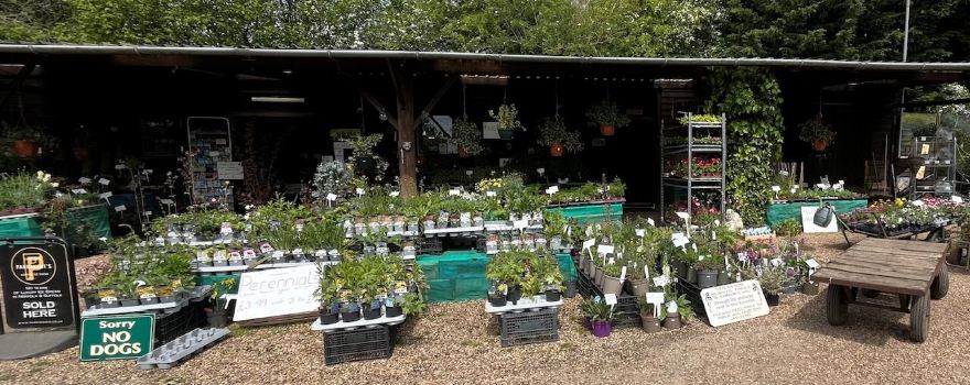 Hillfield Nursery & Farm Shop
