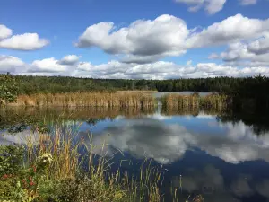 アマースト・ポイント鳥類保護区