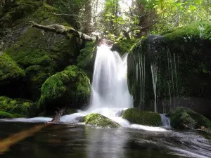 Mossy Falls