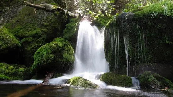 Mossy Falls