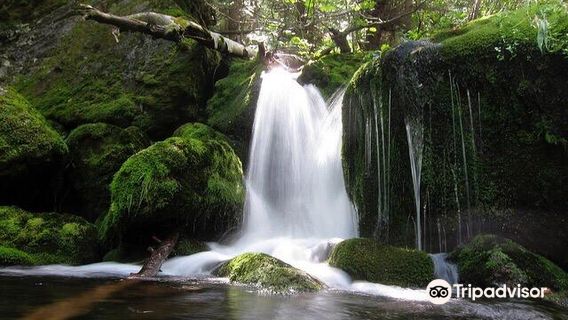 Mossy Falls