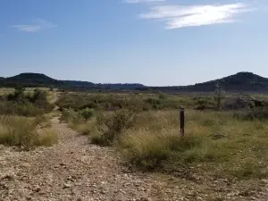 Dana Peak Park