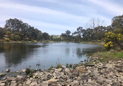 Gleeson Wetlands