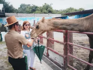 Genalin Park & Zoo Rescue center