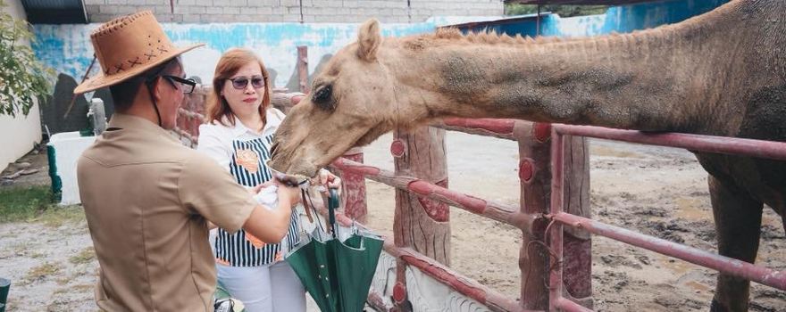 Genalin Park & Zoo Rescue center