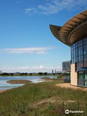 RSPB Saltholme