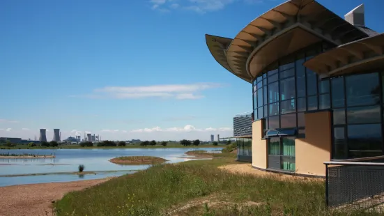 RSPB Saltholme