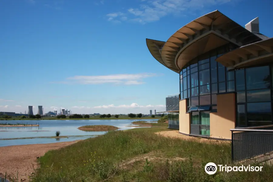 RSPB Saltholme