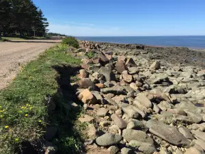 Cottage Cove Provincial Park