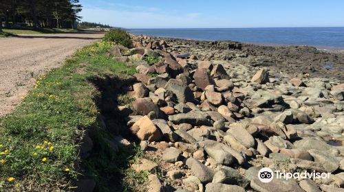 Cottage Cove Provincial Park