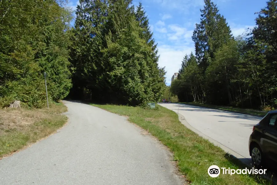 Byrne Creek Ravine Park