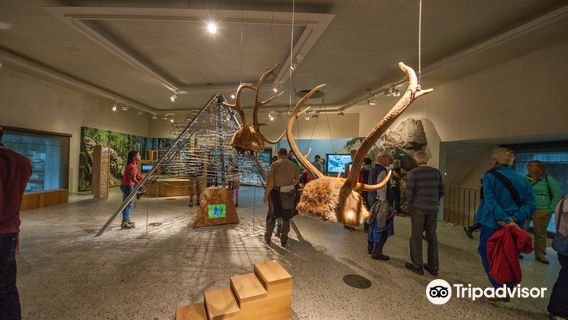 Center dal Parc Naziunal