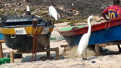 Praia do Forte