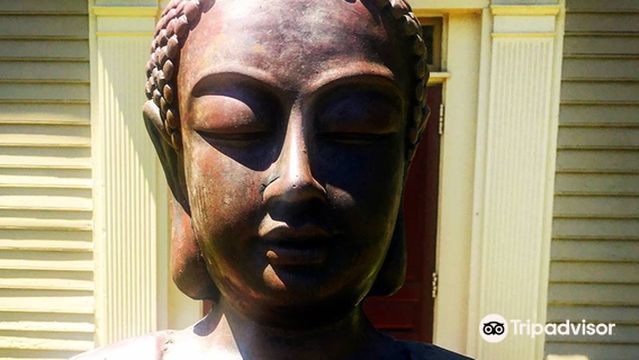 Salt Of The Earth Healing Arts Sanctuary