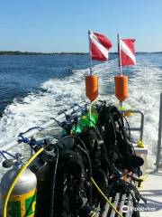 Calypso Dive Charters | South Florida Diving With Sharks