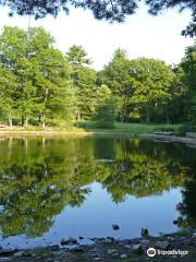 Rocky Woods Reservation