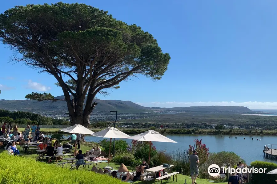 Cape Point Vineyards