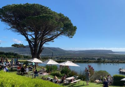 Cape Point Vineyards