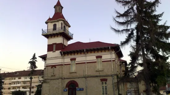 Town Hall of Targu Ocna