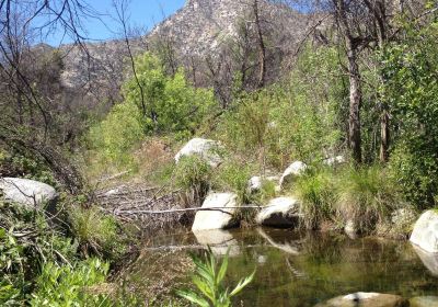 Whiskey Flat Trail