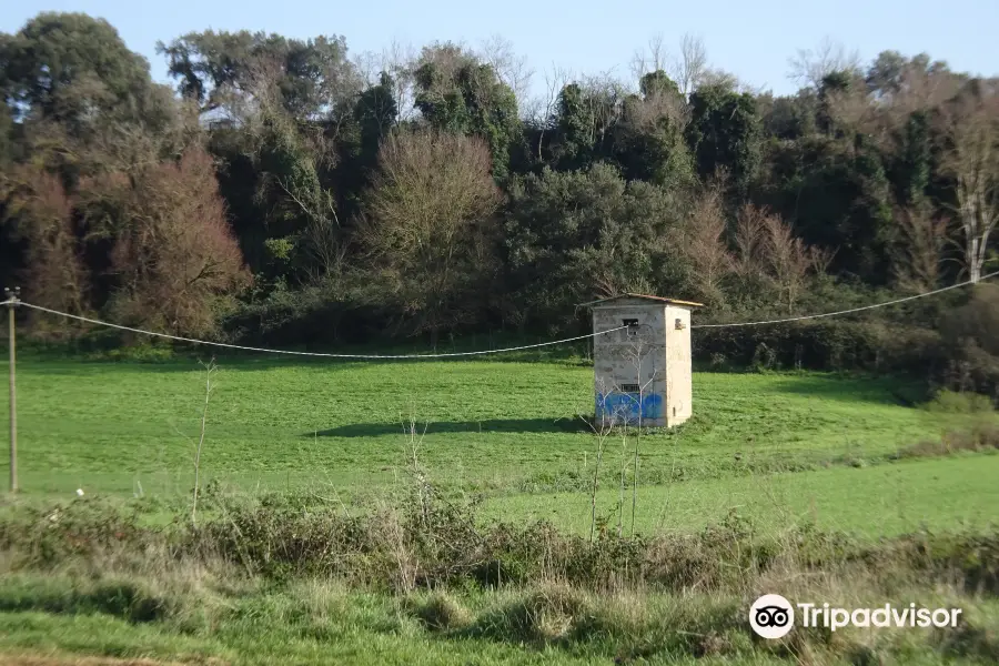 Réserve naturelle de Decima-Malafede