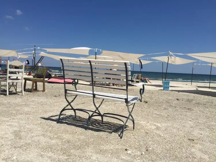 Hotels in Navodari