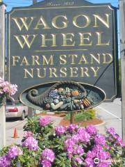 Wagon Wheel