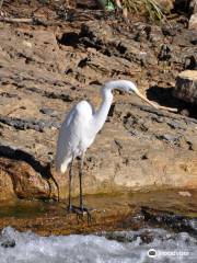 Katherine Low Level Nature Reserve