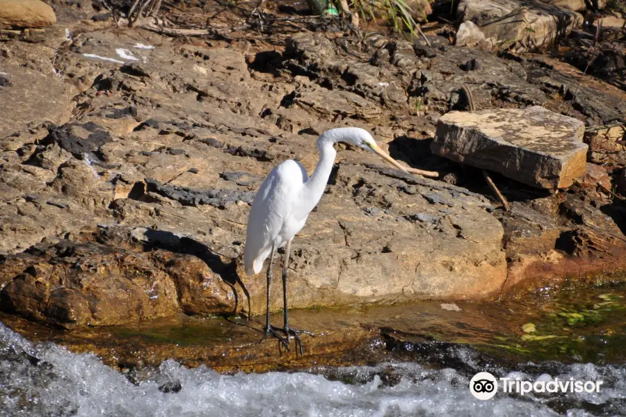 Katherine Low Level Nature Reserve