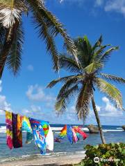 Bathsheba Beach