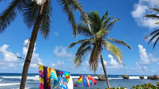 Bathsheba Beach